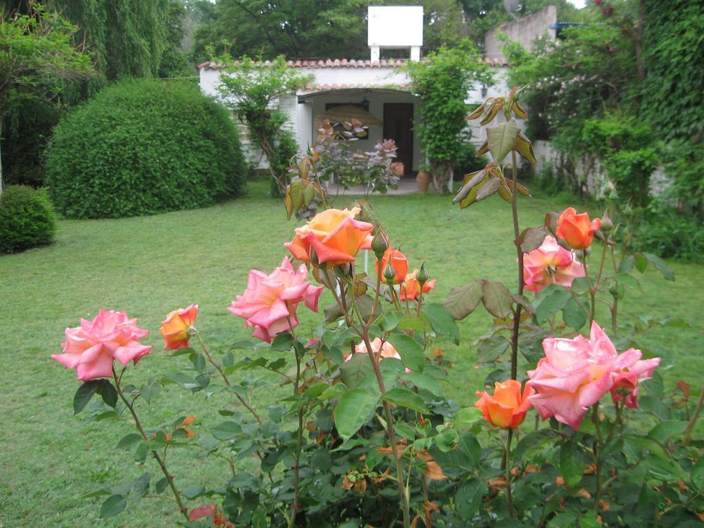 סנטה רוסה דה קלמוצ'יטה La Casa De Almirall מראה חיצוני תמונה