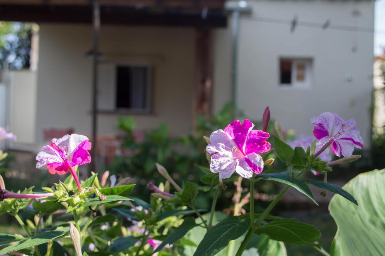 סנטה רוסה דה קלמוצ'יטה La Casa De Almirall מראה חיצוני תמונה
